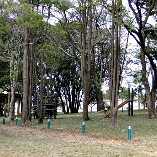 Bosque - Playground