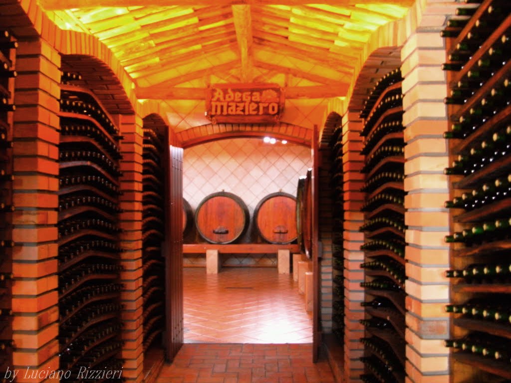 Vinícolas em Jundiaí, a terra do vinho é aqui  - Salles Imóveis