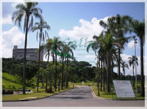 Parque Jardim Botânico Jundiaí  - Salles Imóveis